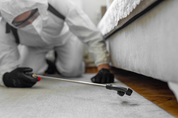 Professional Bed Bug Control technician working in New Canaan, CT