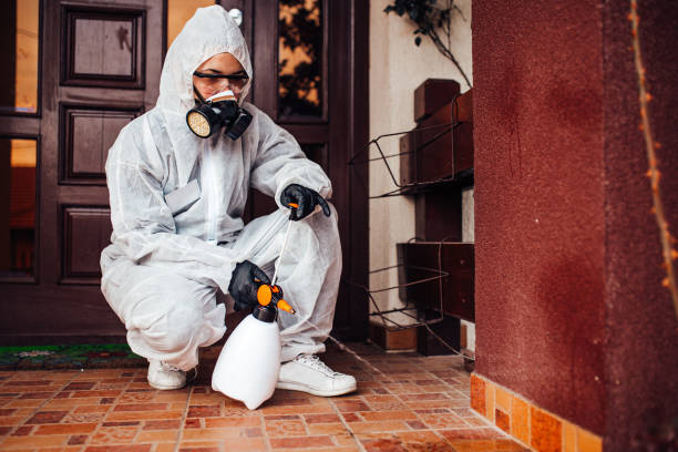 Reliable Bed Bug Control contractor in New Canaan, CT by Nex Pest Control